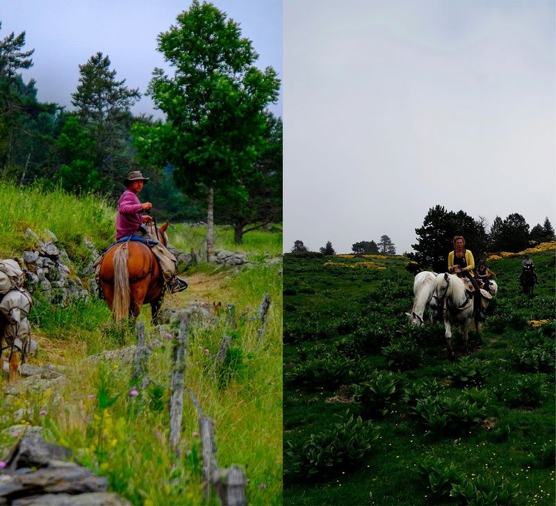À propos de votre centre de randonnée équestre - Les Chevaux de la Tramontane, La Llagonne, Les Chevaux de la Tramontane