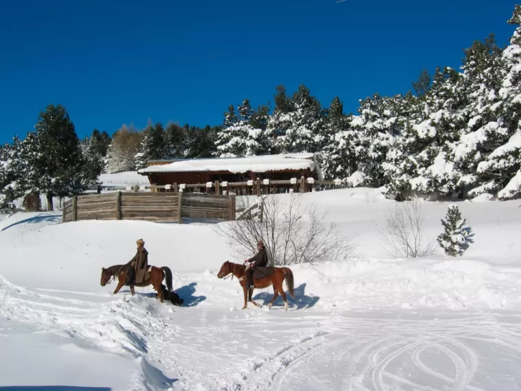 Devant les écuries une journées d'hiver 