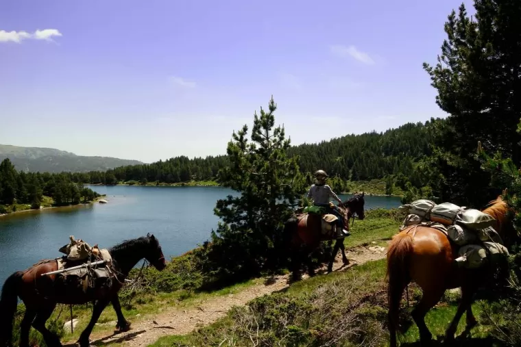 Rando à dans les Pyrénées, La Llagonne, Les Chevaux de la Tramontane