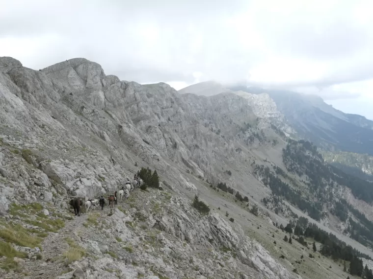Randonnée équestre de Cerdagne, héberger sous tente 8 jours., La Llagonne, Les Chevaux de la Tramontane
