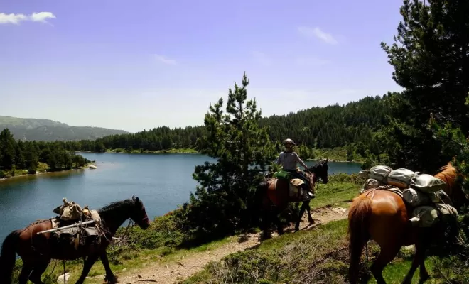 Randonnées, La Llagonne, Les Chevaux de la Tramontane