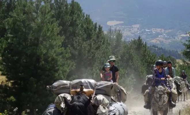 Randonnées, La Llagonne, Les Chevaux de la Tramontane