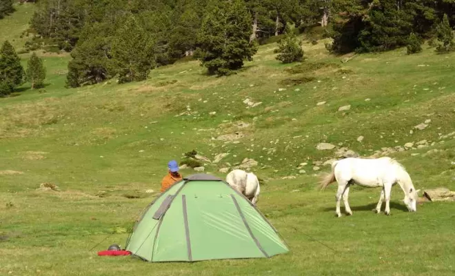 Randonnées, La Llagonne, Les Chevaux de la Tramontane