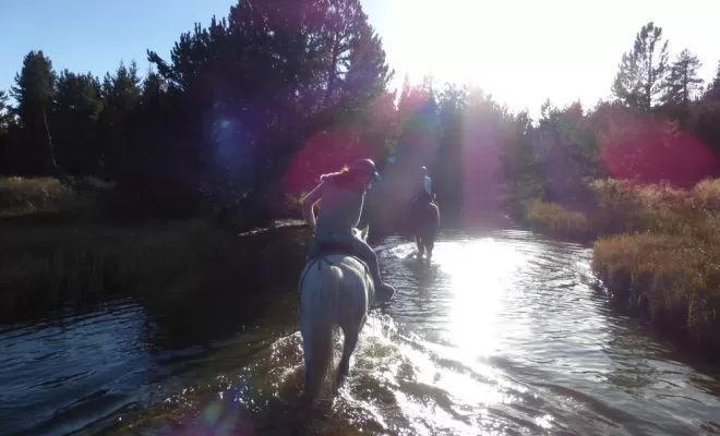 Randonnées, La Llagonne, Les Chevaux de la Tramontane