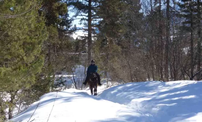 Randonnées, La Llagonne, Les Chevaux de la Tramontane