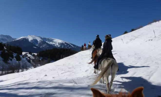 Randonnées, La Llagonne, Les Chevaux de la Tramontane