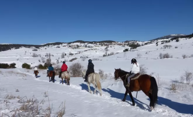 Randonnées, La Llagonne, Les Chevaux de la Tramontane