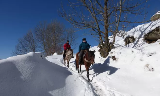Randonnées, La Llagonne, Les Chevaux de la Tramontane