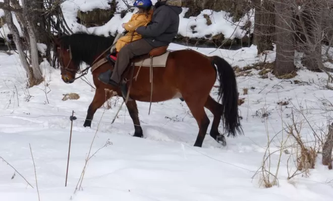 Randonnées, La Llagonne, Les Chevaux de la Tramontane