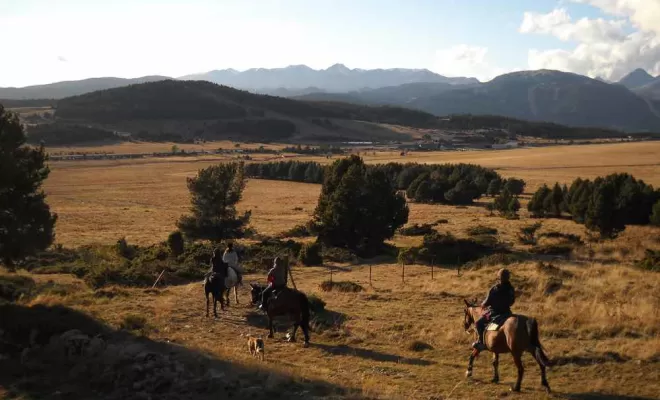 Randonnées, La Llagonne, Les Chevaux de la Tramontane