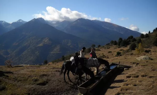 Randonnées, La Llagonne, Les Chevaux de la Tramontane