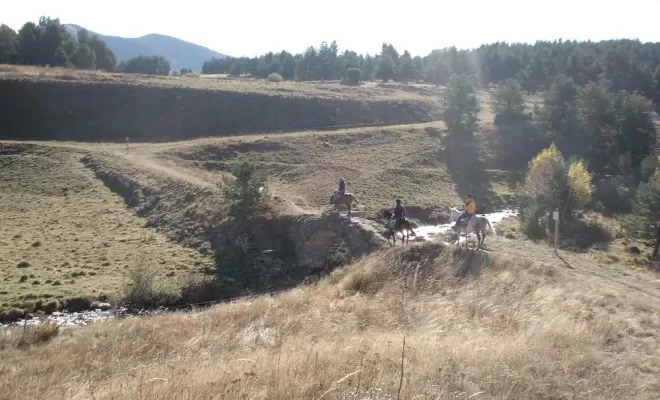 Randonnées, La Llagonne, Les Chevaux de la Tramontane