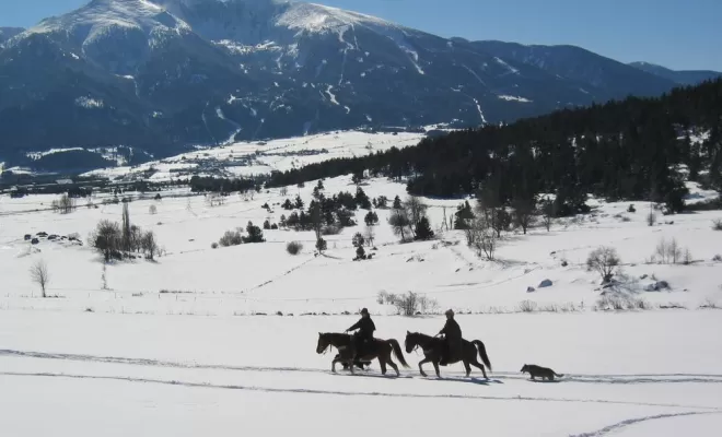 Randonnées, La Llagonne, Les Chevaux de la Tramontane