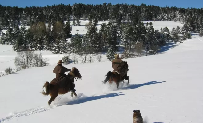 Randonnées, La Llagonne, Les Chevaux de la Tramontane
