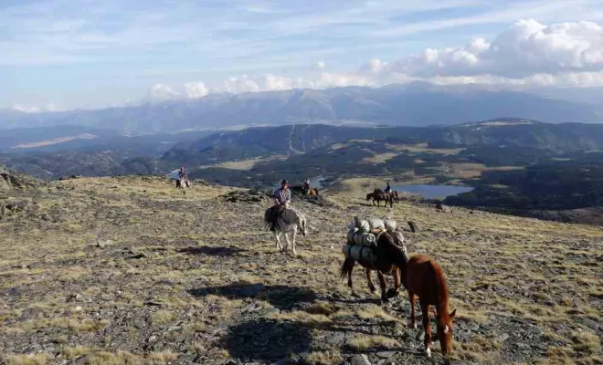 Randonnées, La Llagonne, Les Chevaux de la Tramontane