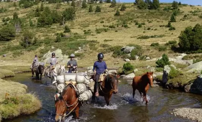 Randonnées, La Llagonne, Les Chevaux de la Tramontane