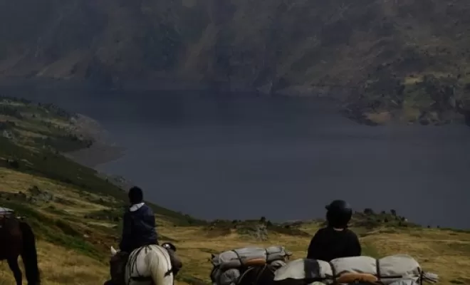 Randonnées, La Llagonne, Les Chevaux de la Tramontane