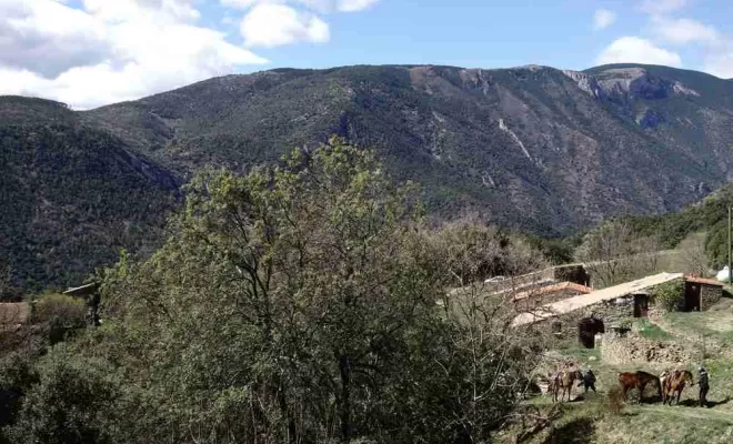 Séjours, La Llagonne, Les Chevaux de la Tramontane