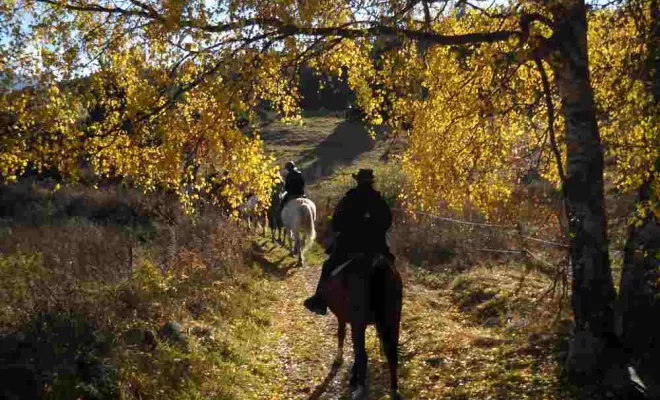 Balade à cheval pour enfant, La Llagonne, Les Chevaux de la Tramontane